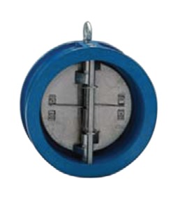 Dual Plate Check Valve